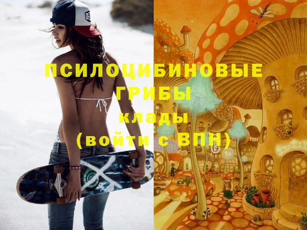 кокс Каменка