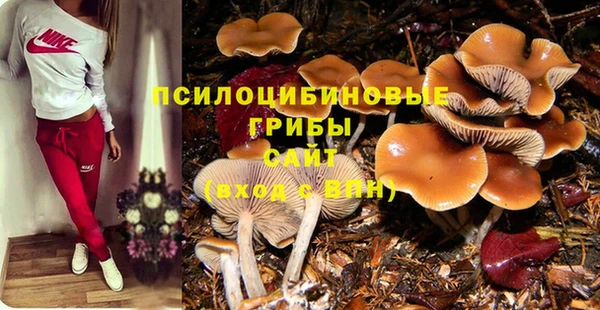 прущая мука Каменск-Шахтинский