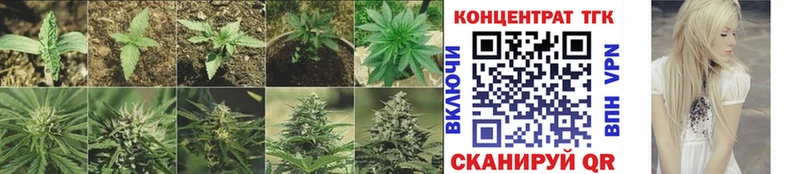 ТГК THC oil  Купить  Белокуриха 