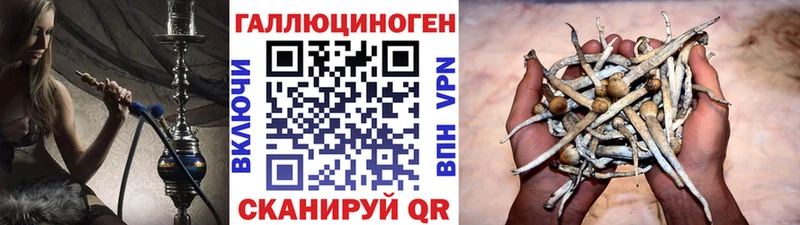Купить где  Белокуриха  Галлюциногенные грибы мицелий 